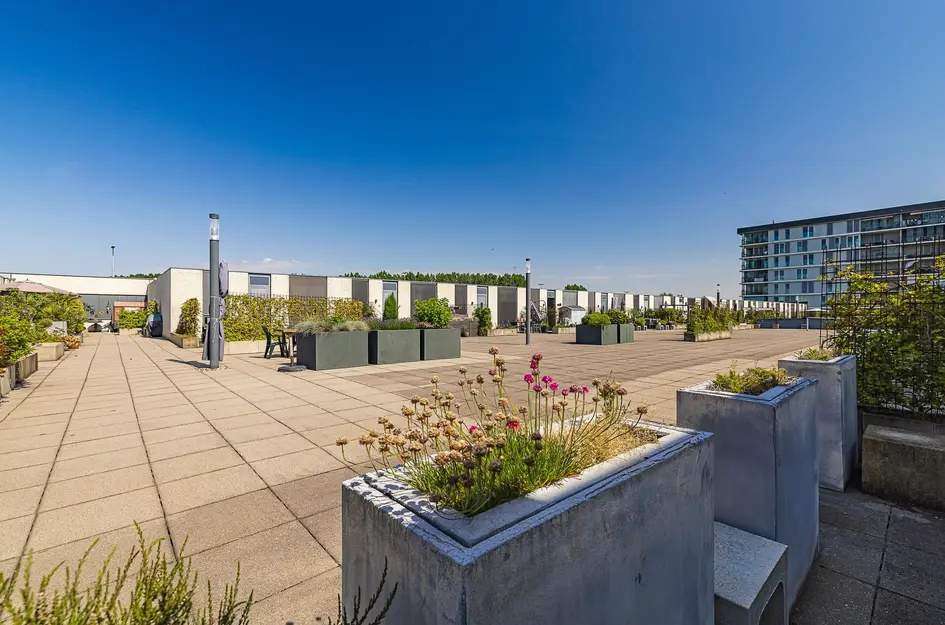 Dalempromenade 12