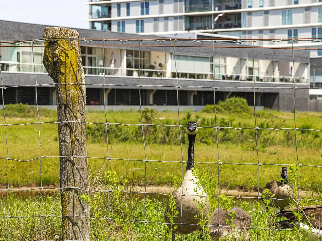 Dalempromenade 12, TILBURG