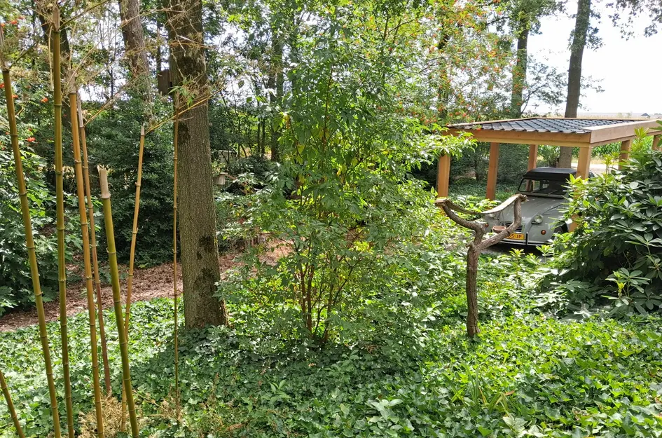 De Stille Wille 167