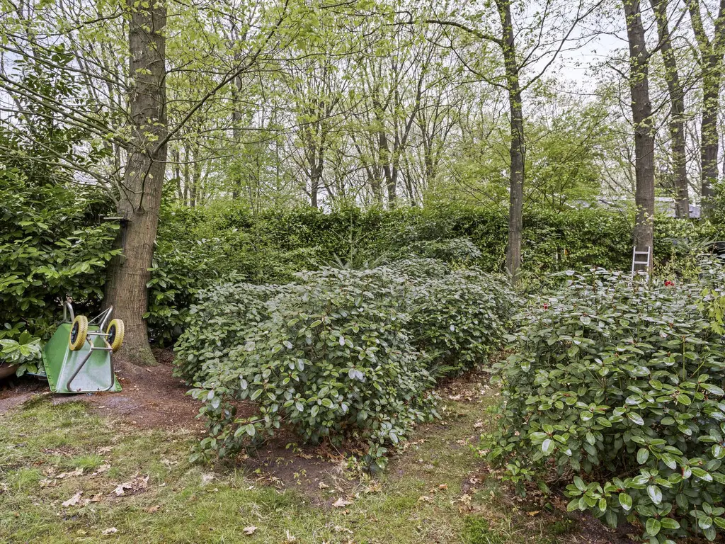 De Stille Wille 26, OOST WEST EN MIDDELBEERS