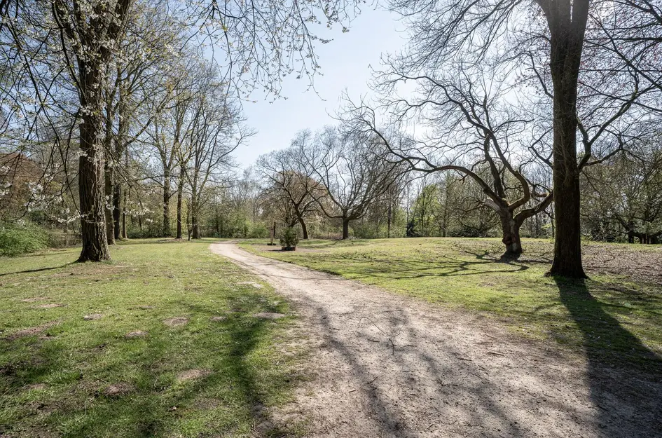 Willem Pijperstraat 34