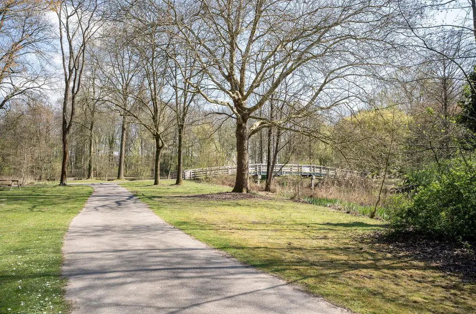 Willem Pijperstraat 34