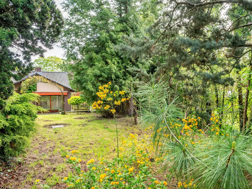 Roermondseweg 82, Haelen