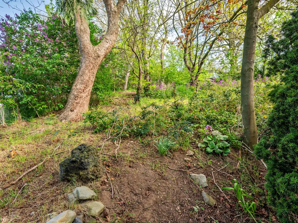 Roermondseweg 82, Haelen