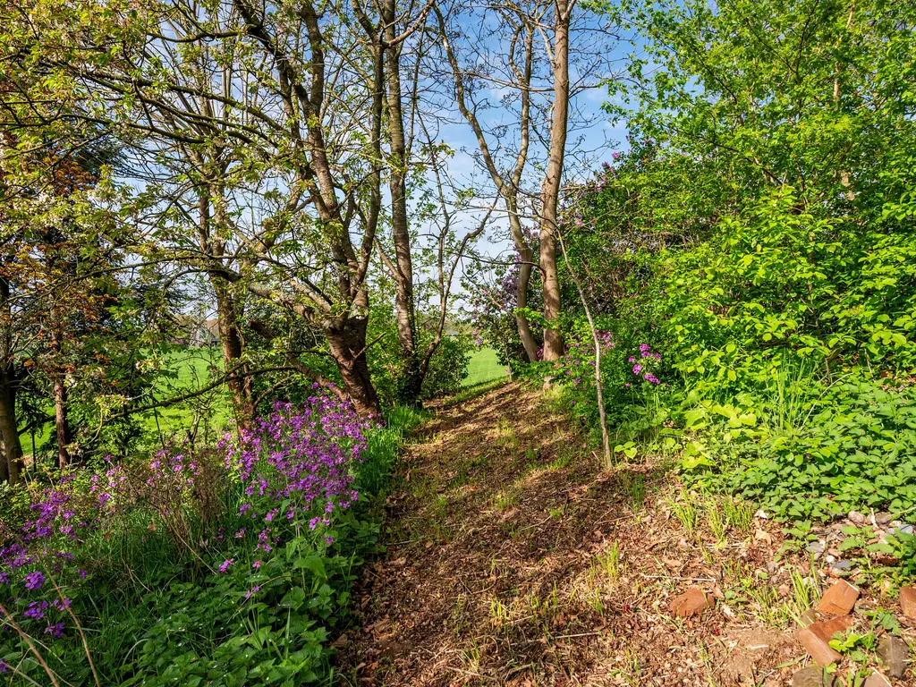 Roermondseweg 82, Haelen