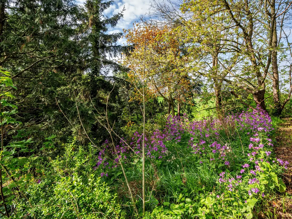 Roermondseweg 82, Haelen