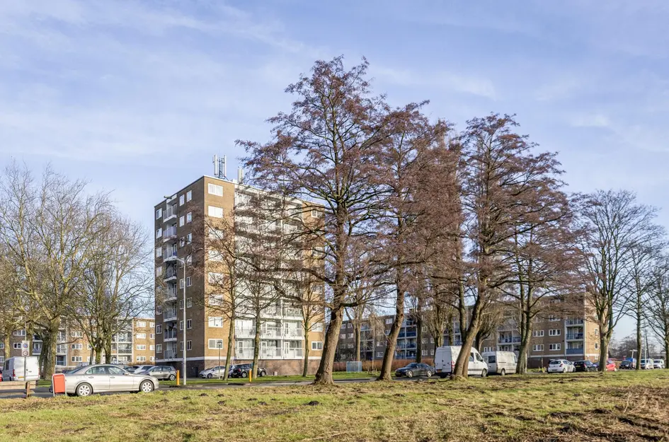 Linnaeusstraat 190