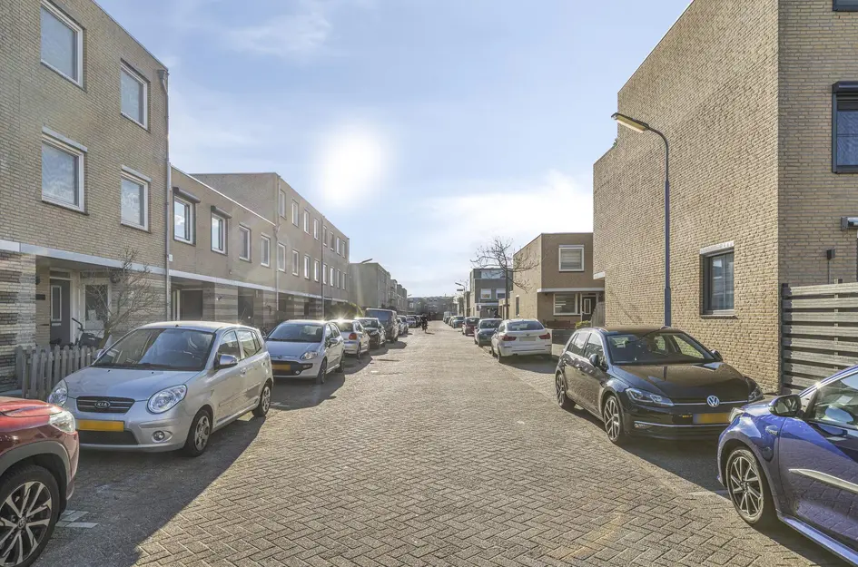 Caro van Eyckstraat 41