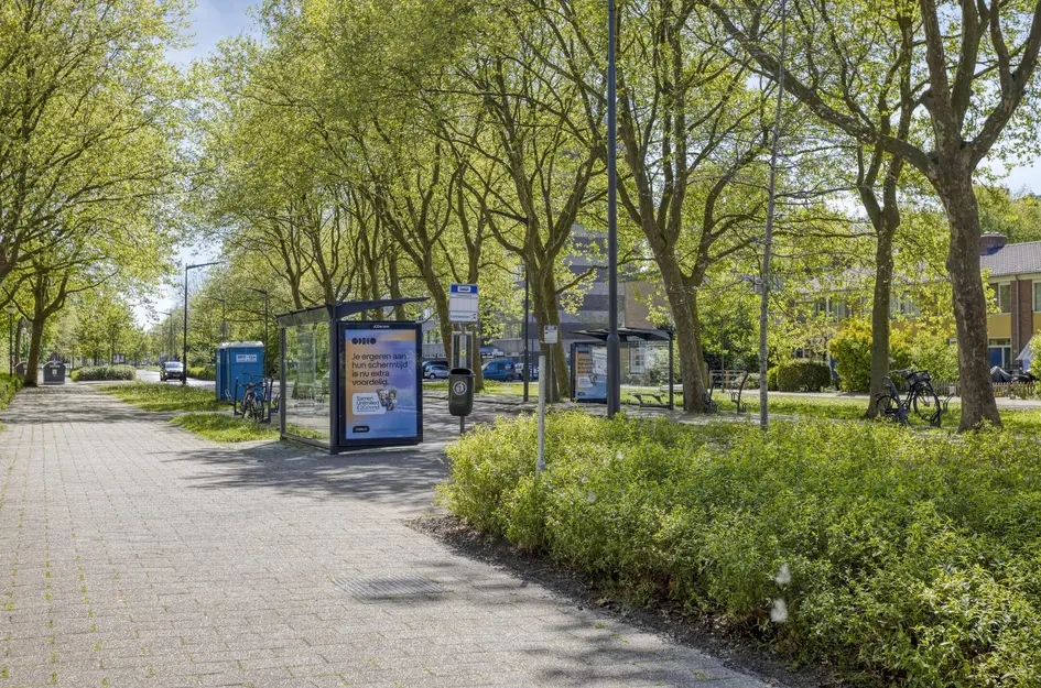 Bernstraat 50