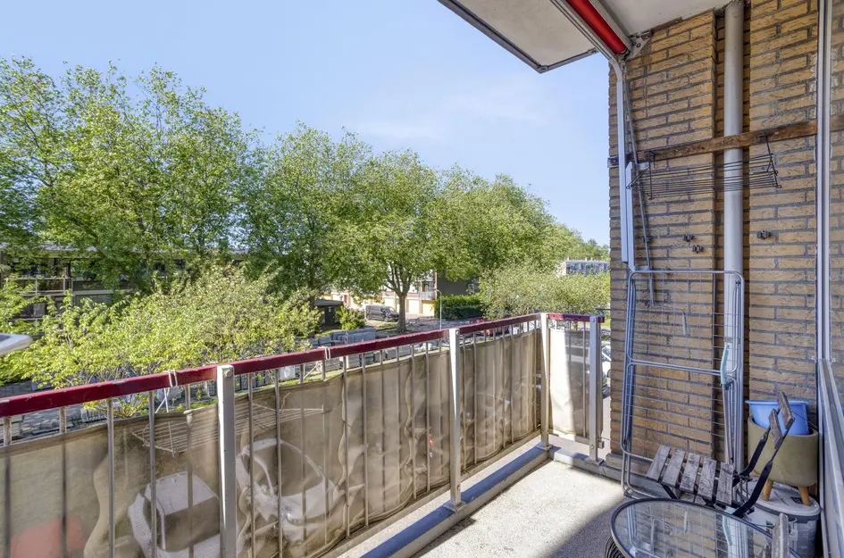 Lijsterstraat 46