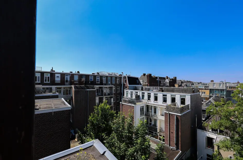 Pieter Aertszstraat 111 3