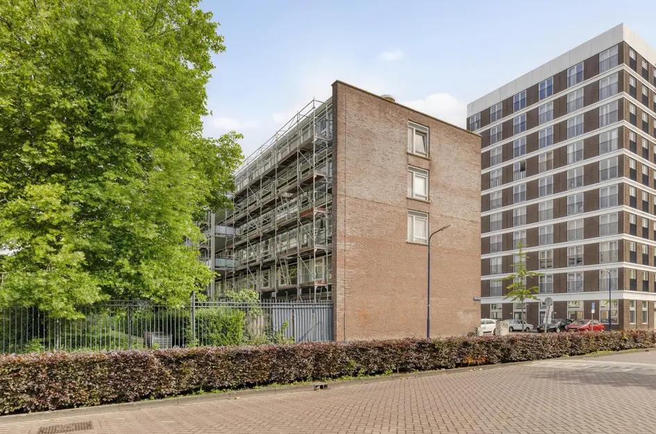 Ekingenstraat 252