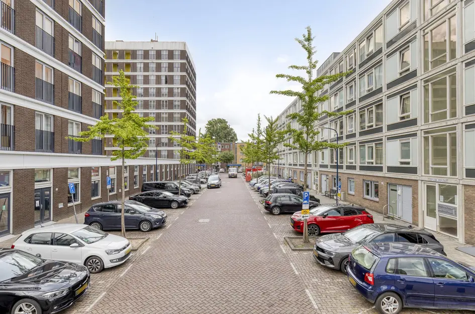 Ekingenstraat 252