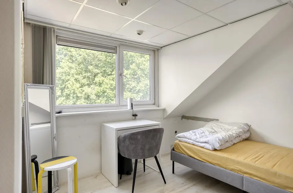 Stellingmolenstraat 67