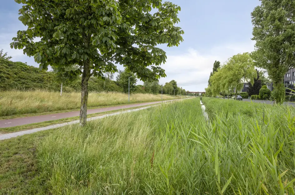 Goudplaat 57