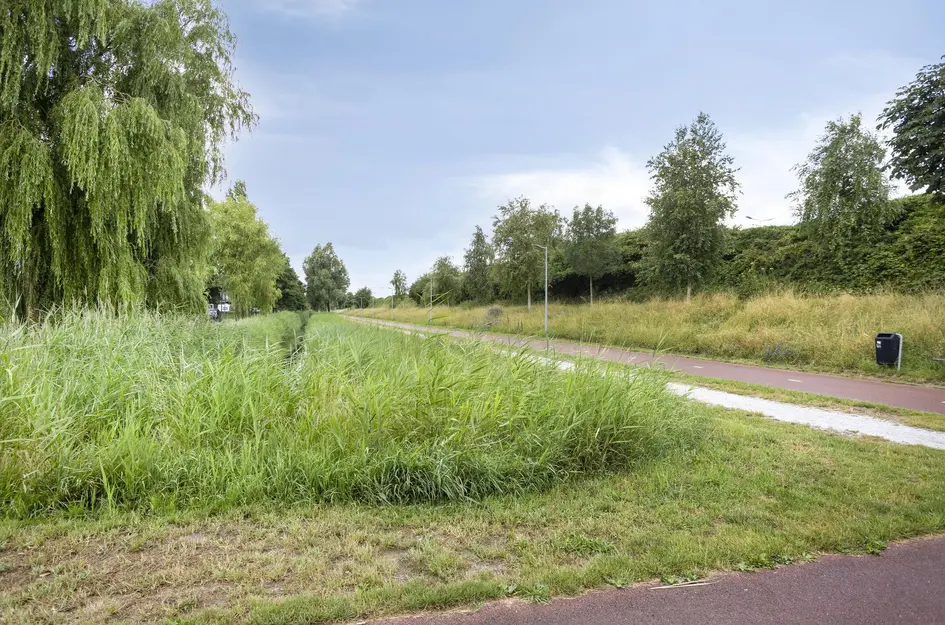 Goudplaat 57