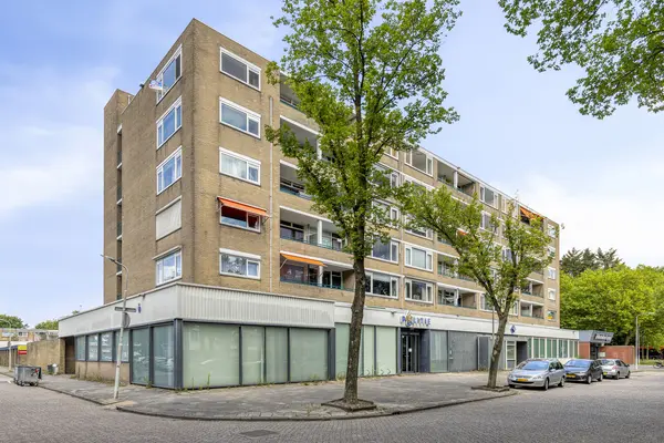 Spaansgroenstraat 34