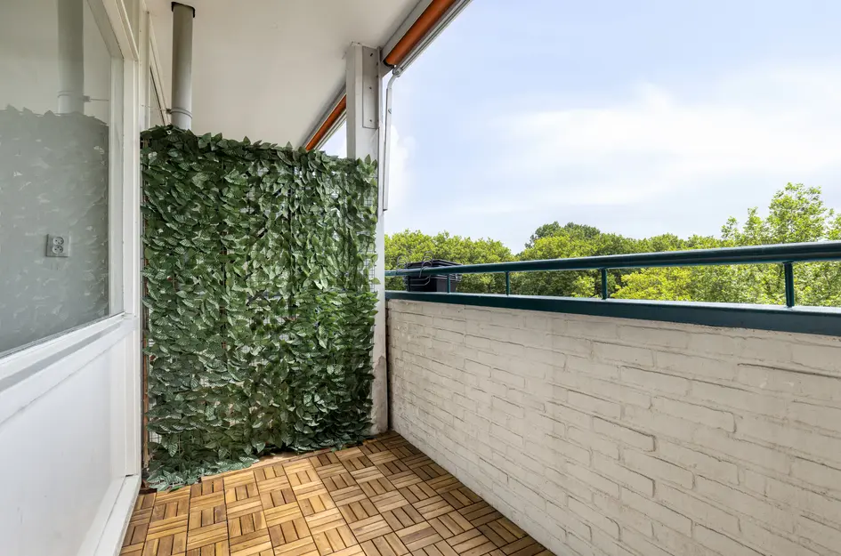 Spaansgroenstraat 34