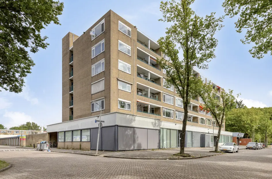 Spaansgroenstraat 24