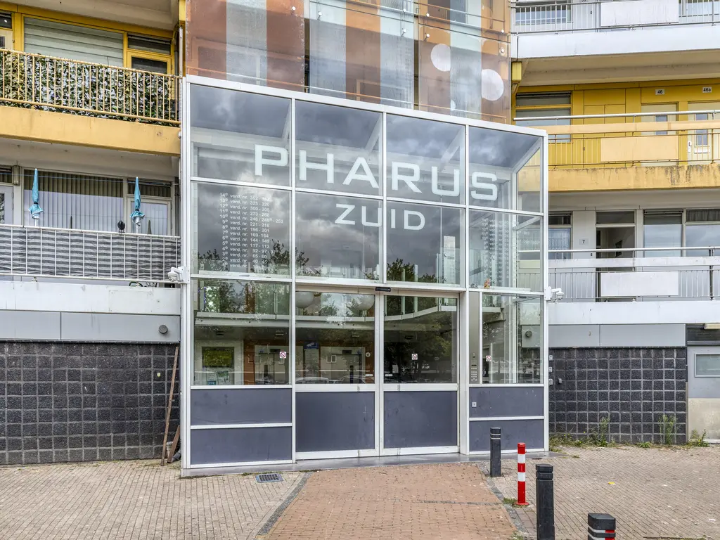 Pharus 47, ZAANDAM