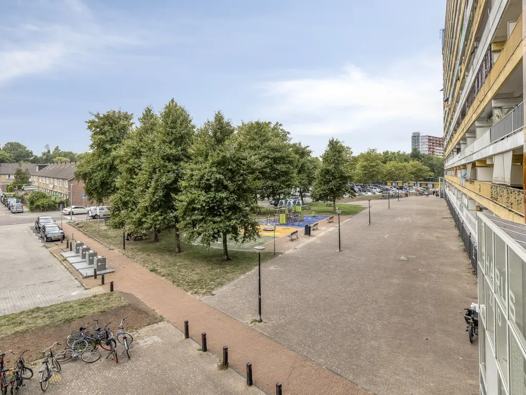 Pharus 47, ZAANDAM