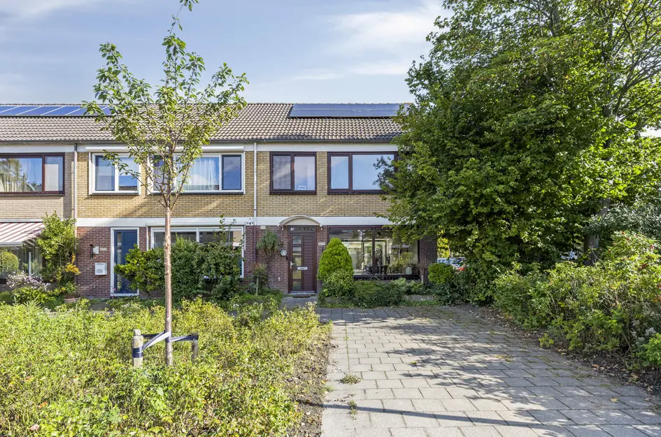 Graan voor Visch 19701