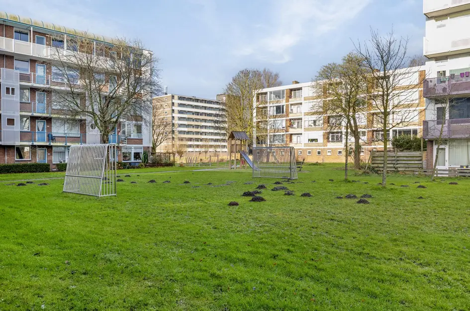 Leverkruidweg 46