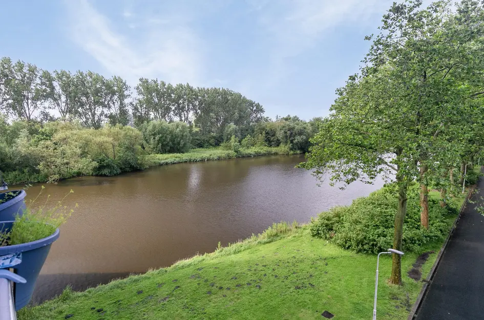 Oost-Dorsch 36