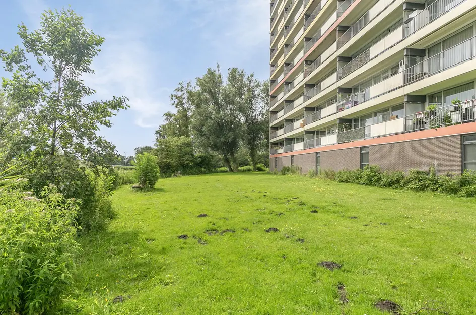 Oost-Dorsch 36