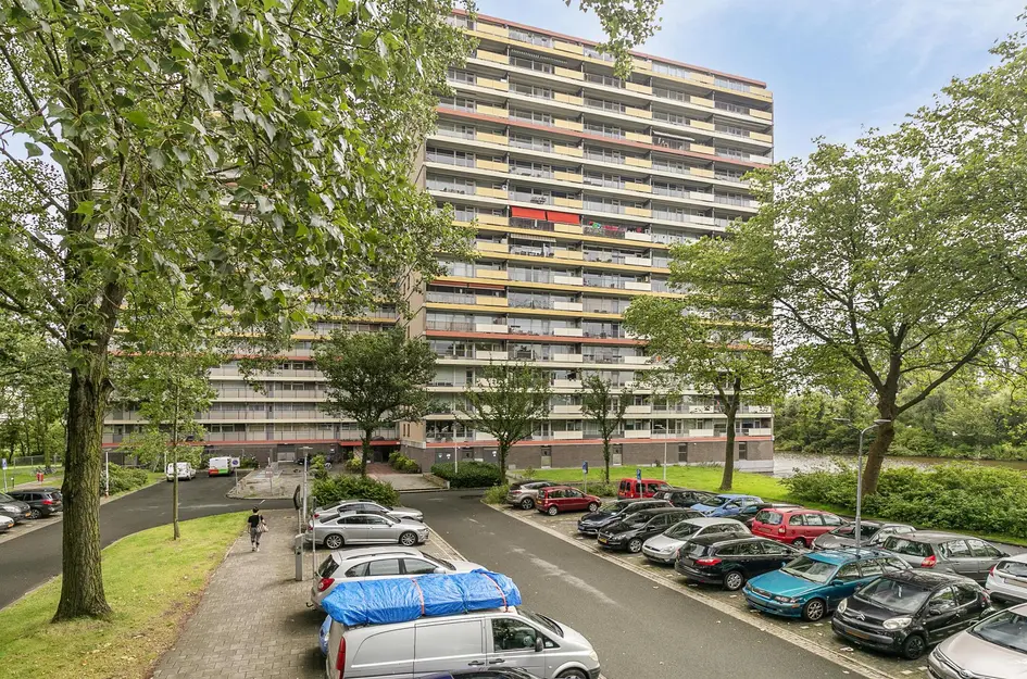 Oost-Dorsch 36