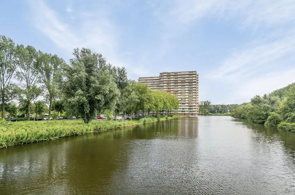 Oost-Dorsch 36