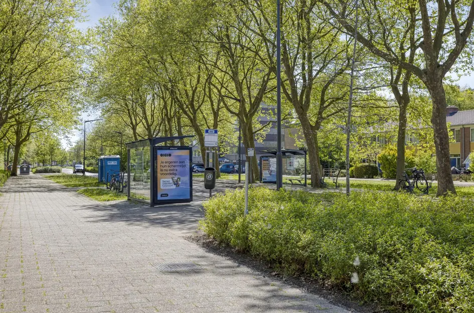 Bernstraat 50