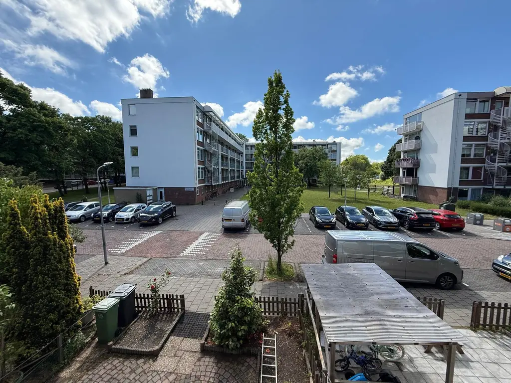 Leverkruidweg 46, Zaandam