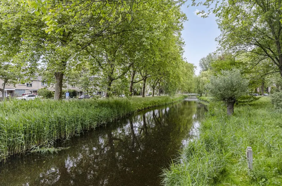 Barkstraat 20