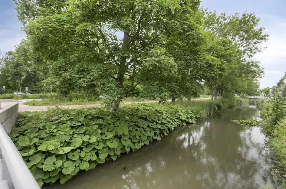 Gerda Brautigamstraat 37
