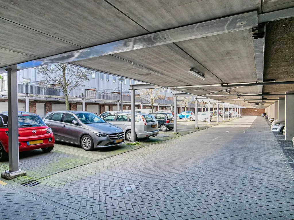 Bermuda 30, Zaandam