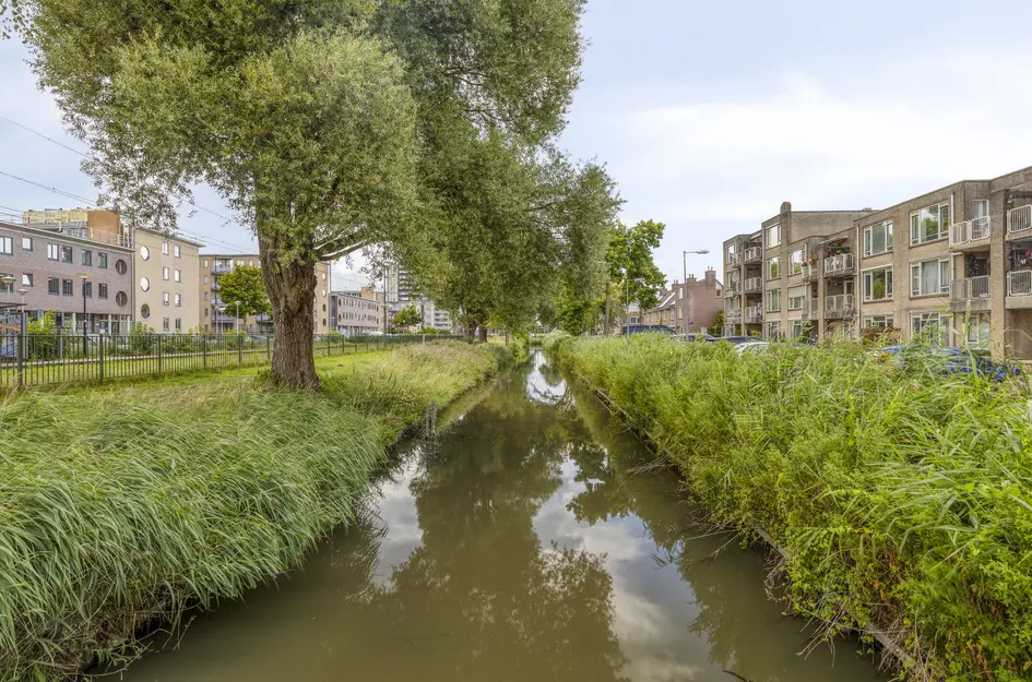 Sandinostraat 55