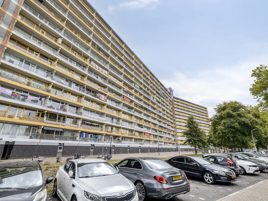Pharus 47, ZAANDAM