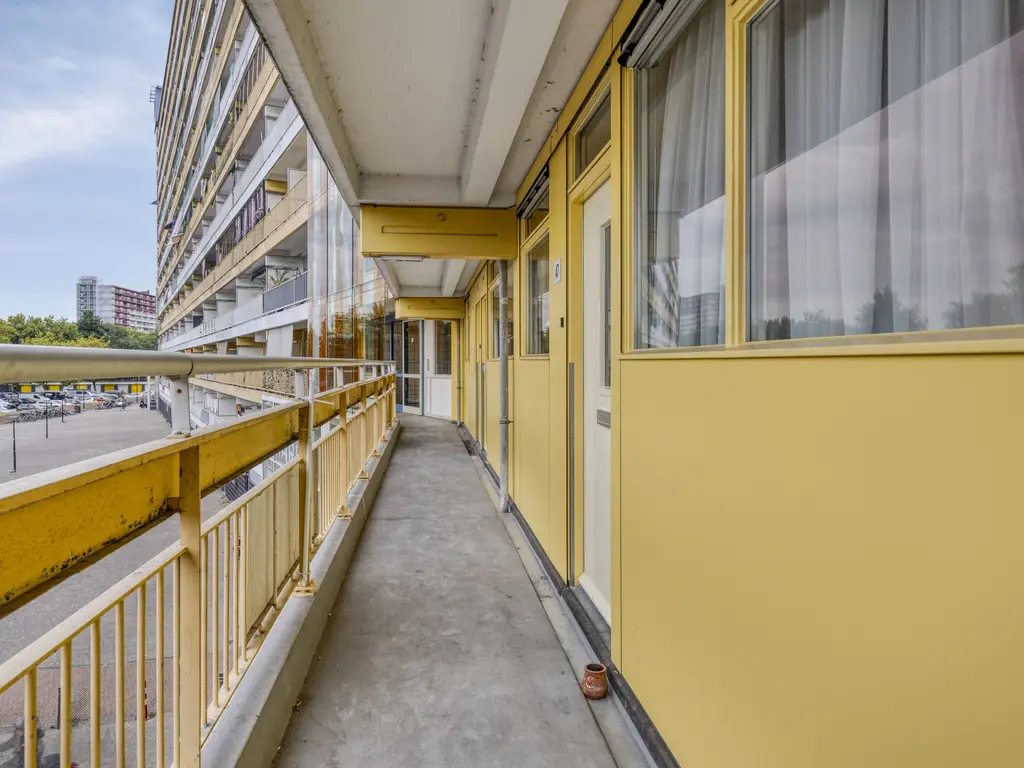 Pharus 47, ZAANDAM