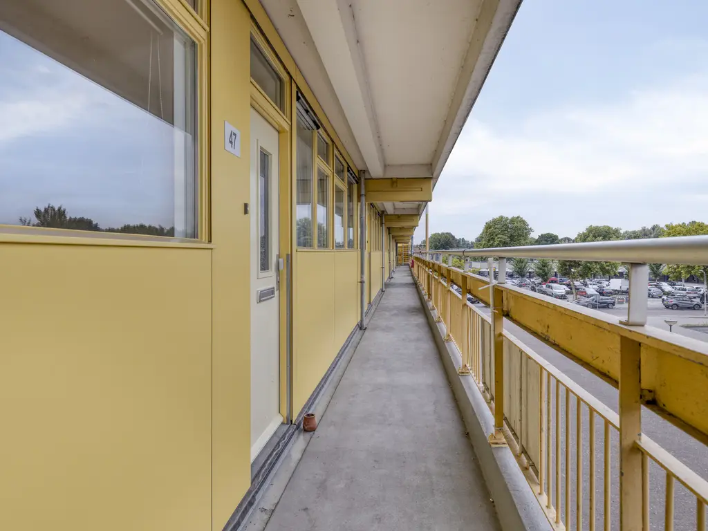 Pharus 47, ZAANDAM