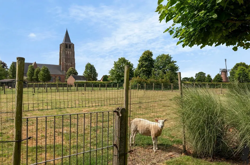 Koning Albertstraat 181  