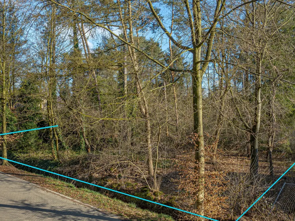 Beukenlaan 7  , Oud-Turnhout