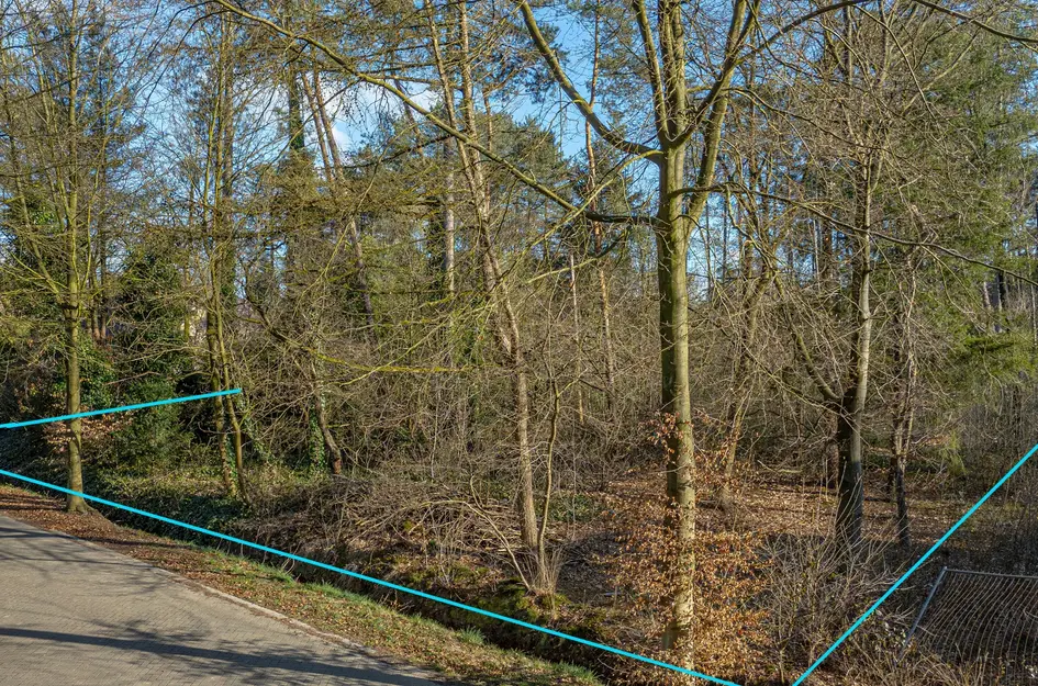 Beukenlaan 7  