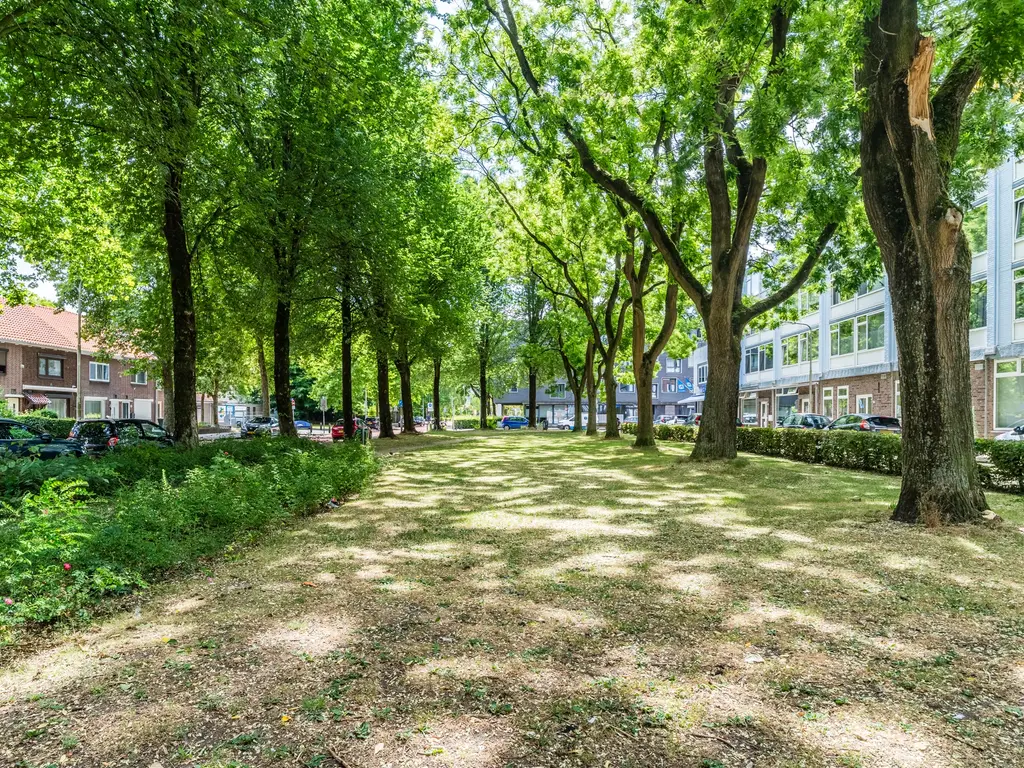 Trouwlaan 251, Tilburg