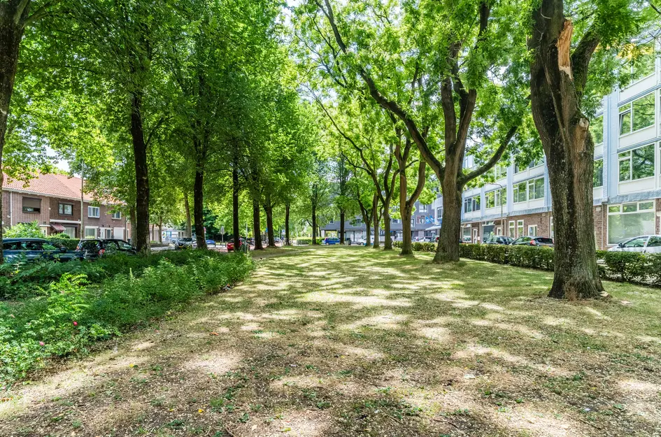 Trouwlaan 251