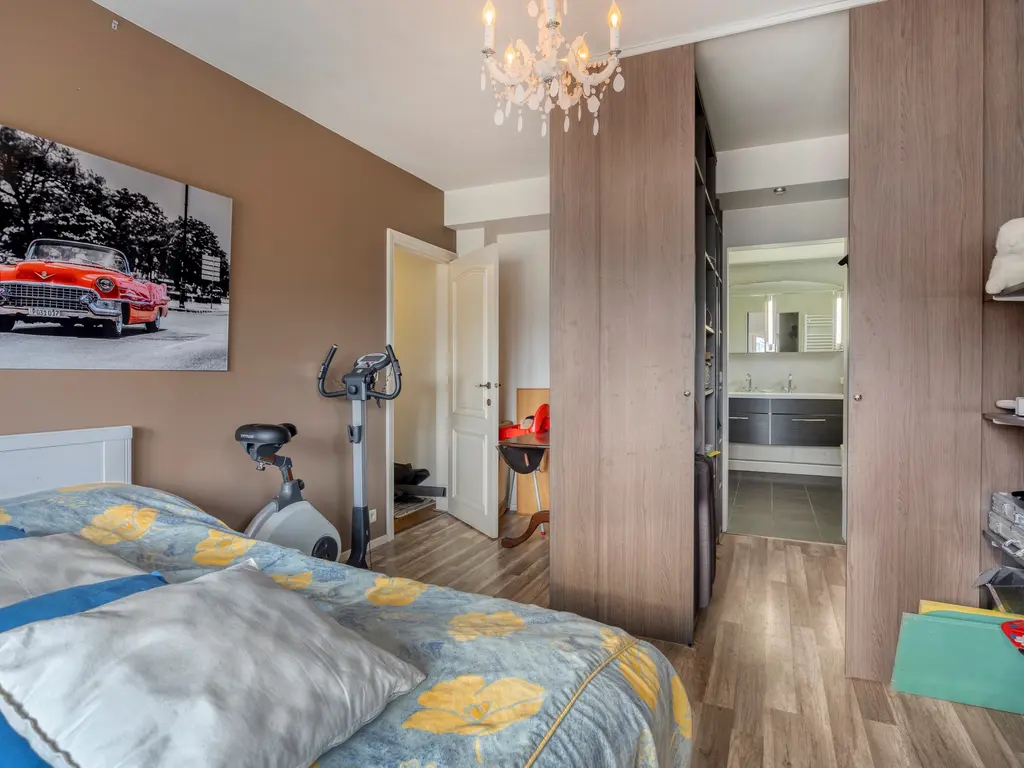 Paardenwiel 6  , Ravels