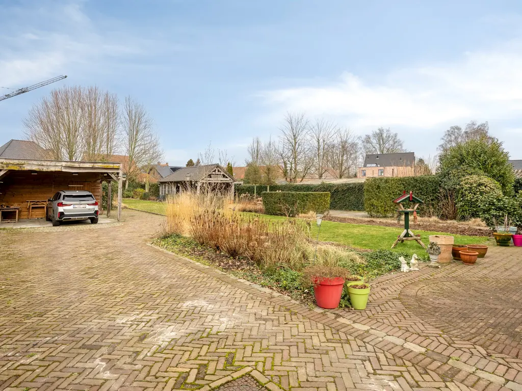 Paardenwiel 6  , Ravels