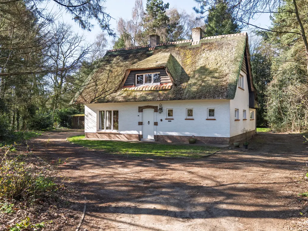 Brandstraat 145  , Mol