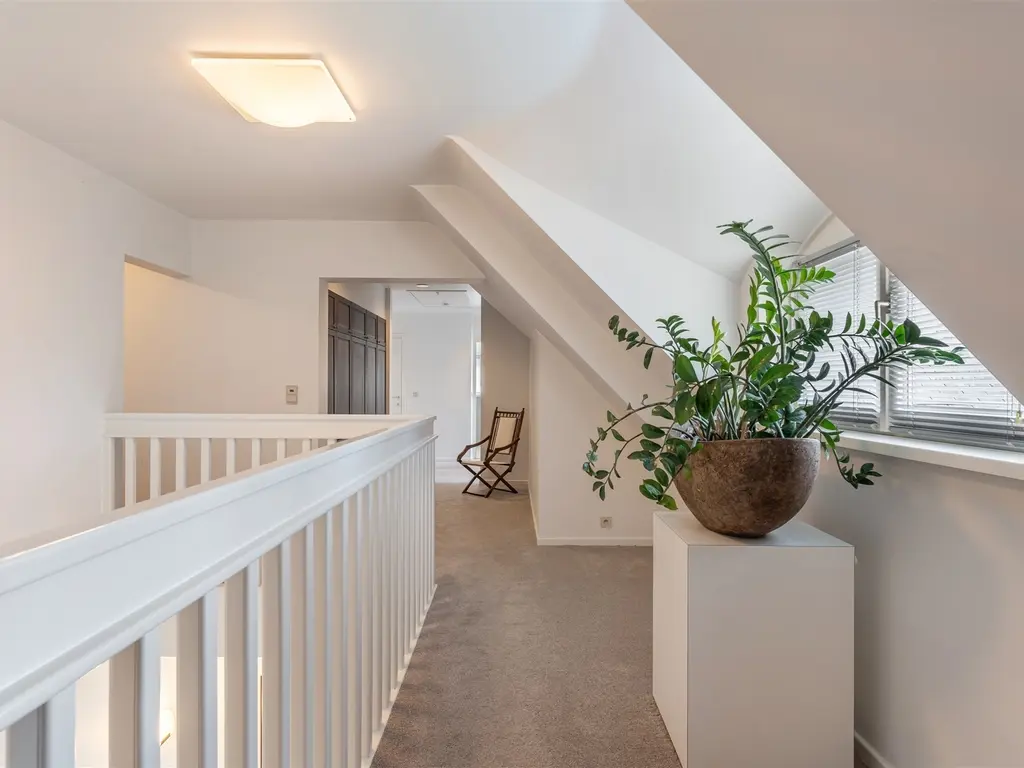 Mereldreef 10  , Pelt