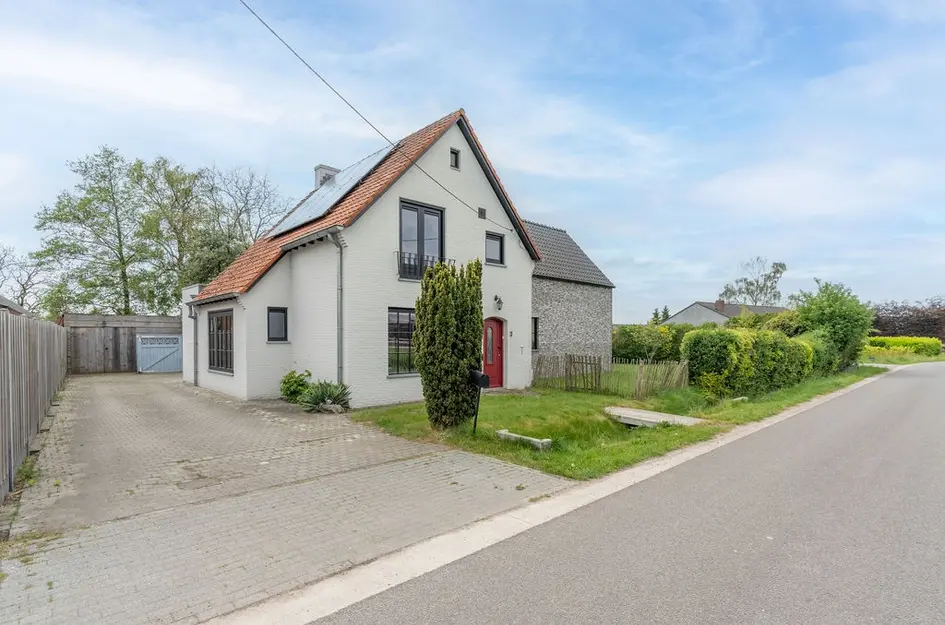 Grote Vond 3  
